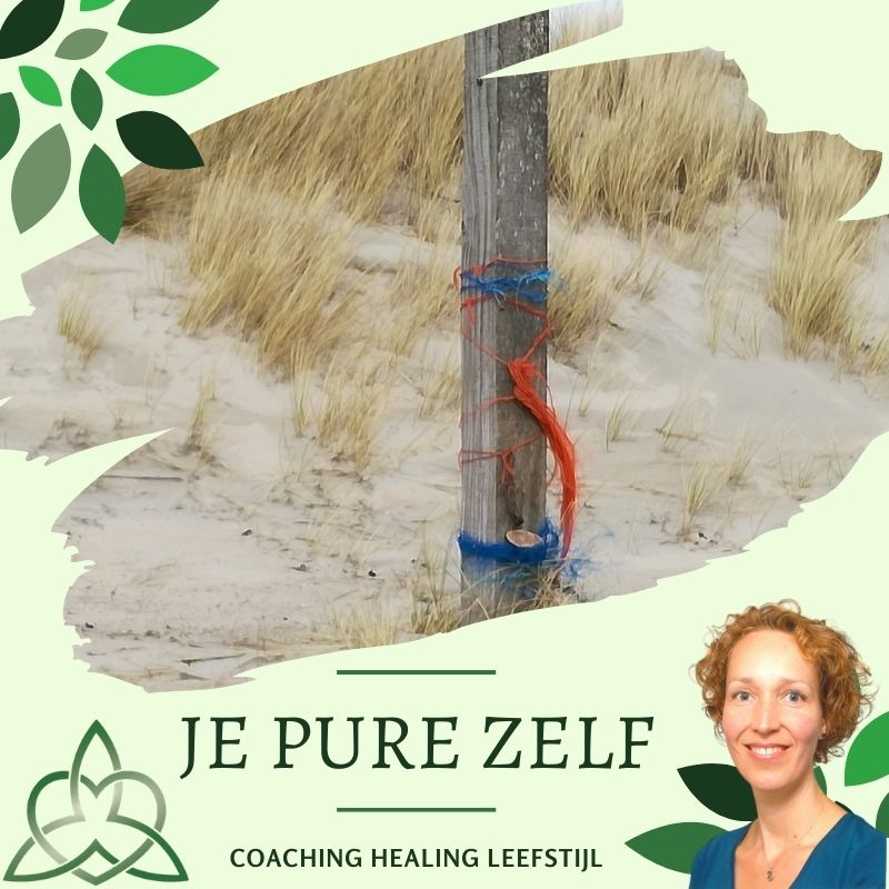 Coaching en counseling Alkmaar