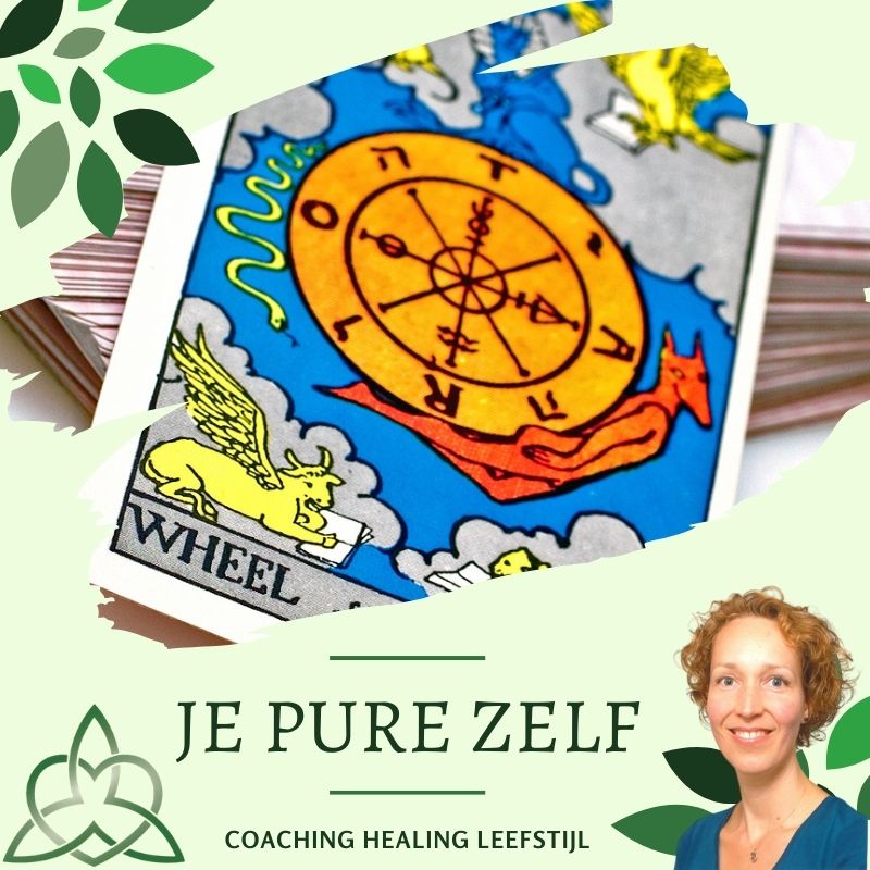 Tarot coaching Alkmaar